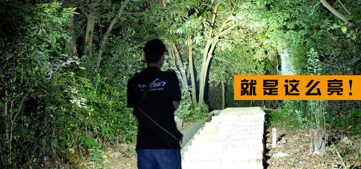 1449900314574043.jpg 742x348.jpg