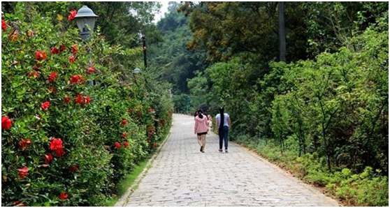 1466065286935460.png 1466065286935460.png