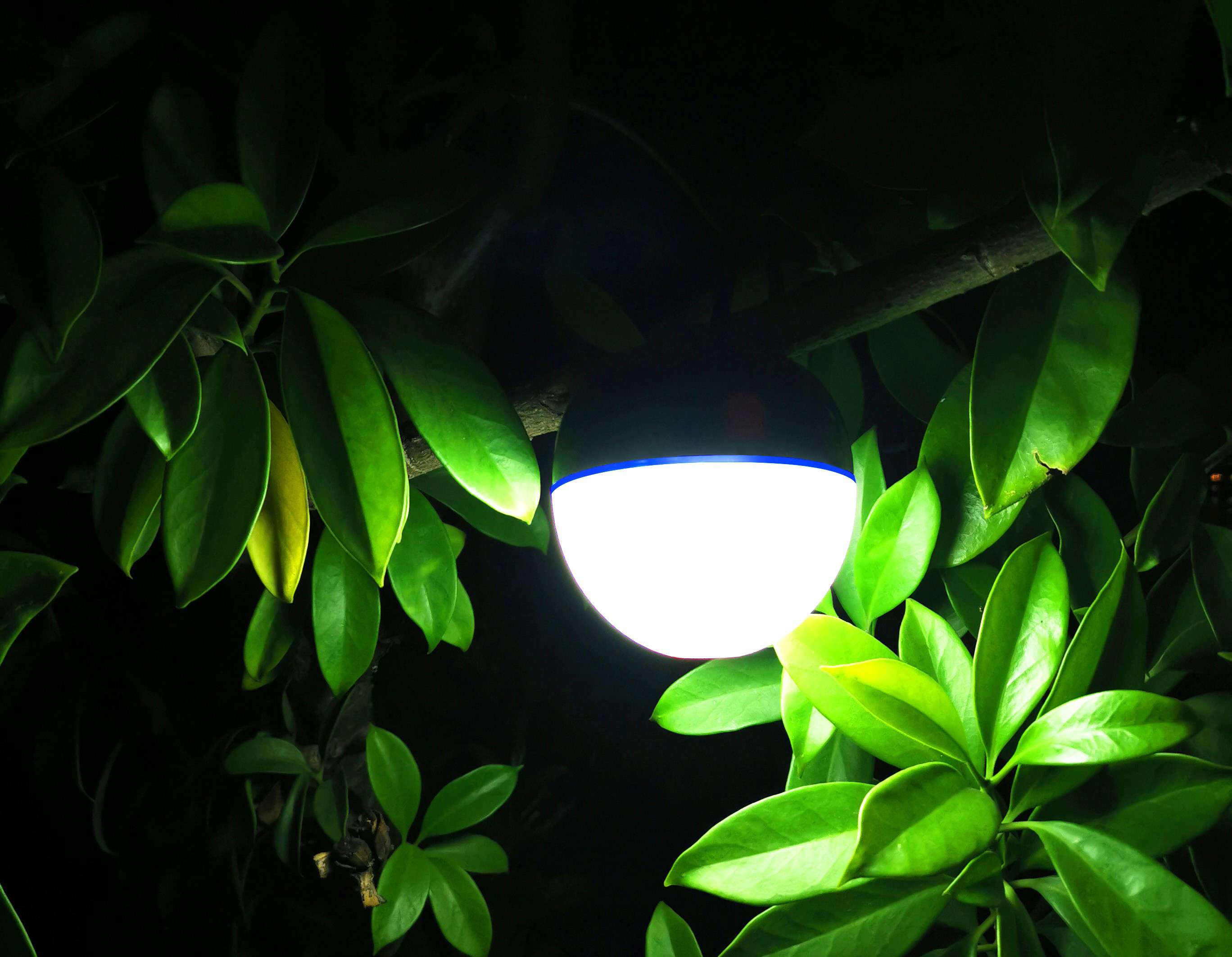 1574912521923514.jpg 1574912521923514.jpg