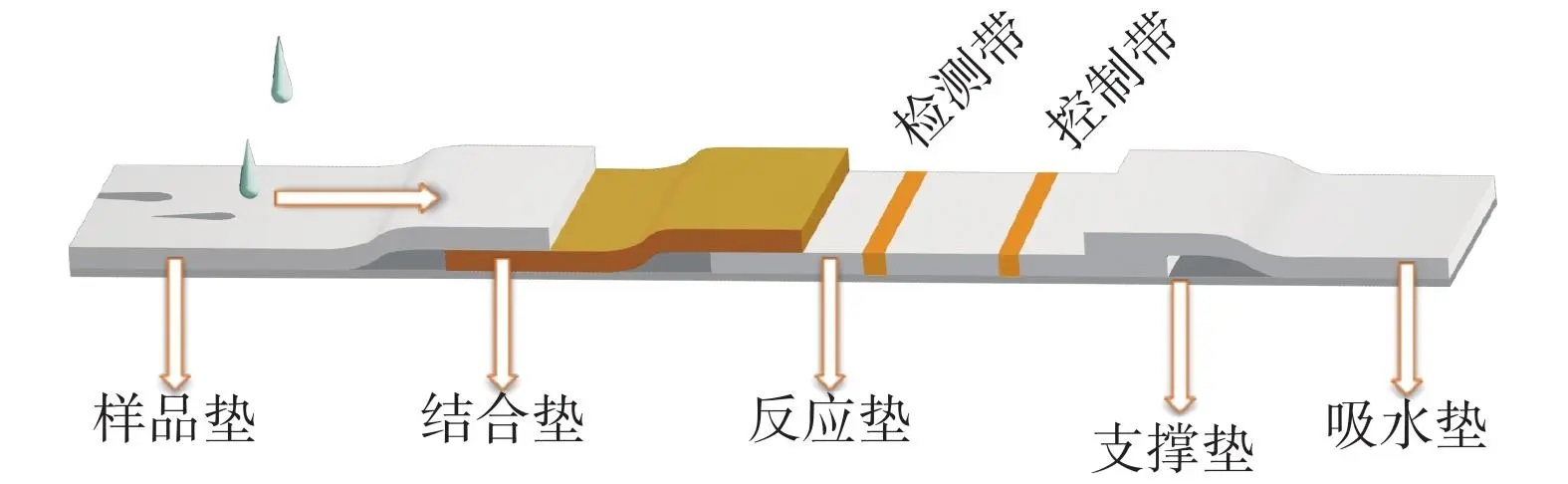 1650616875535891.jpg 1650616875535891.jpg