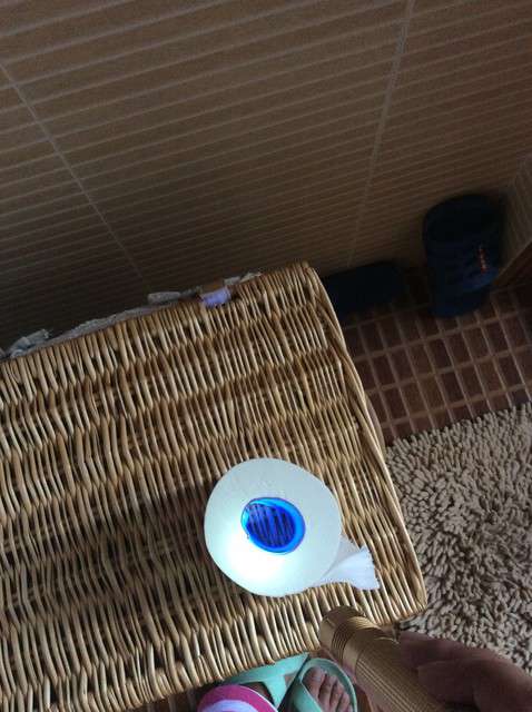  寶媽買(mǎi)了紫光手電，衣服上好多熒光劑，看的心慌害怕